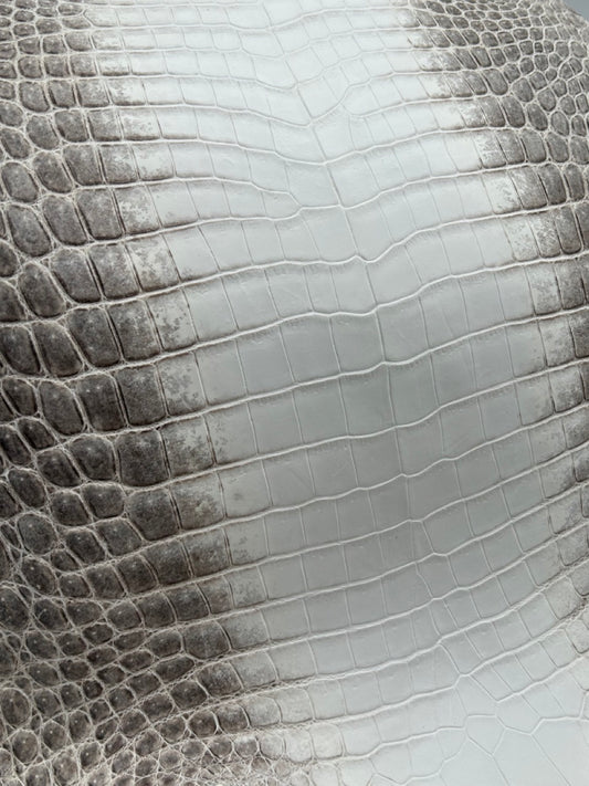 Alligator Mat